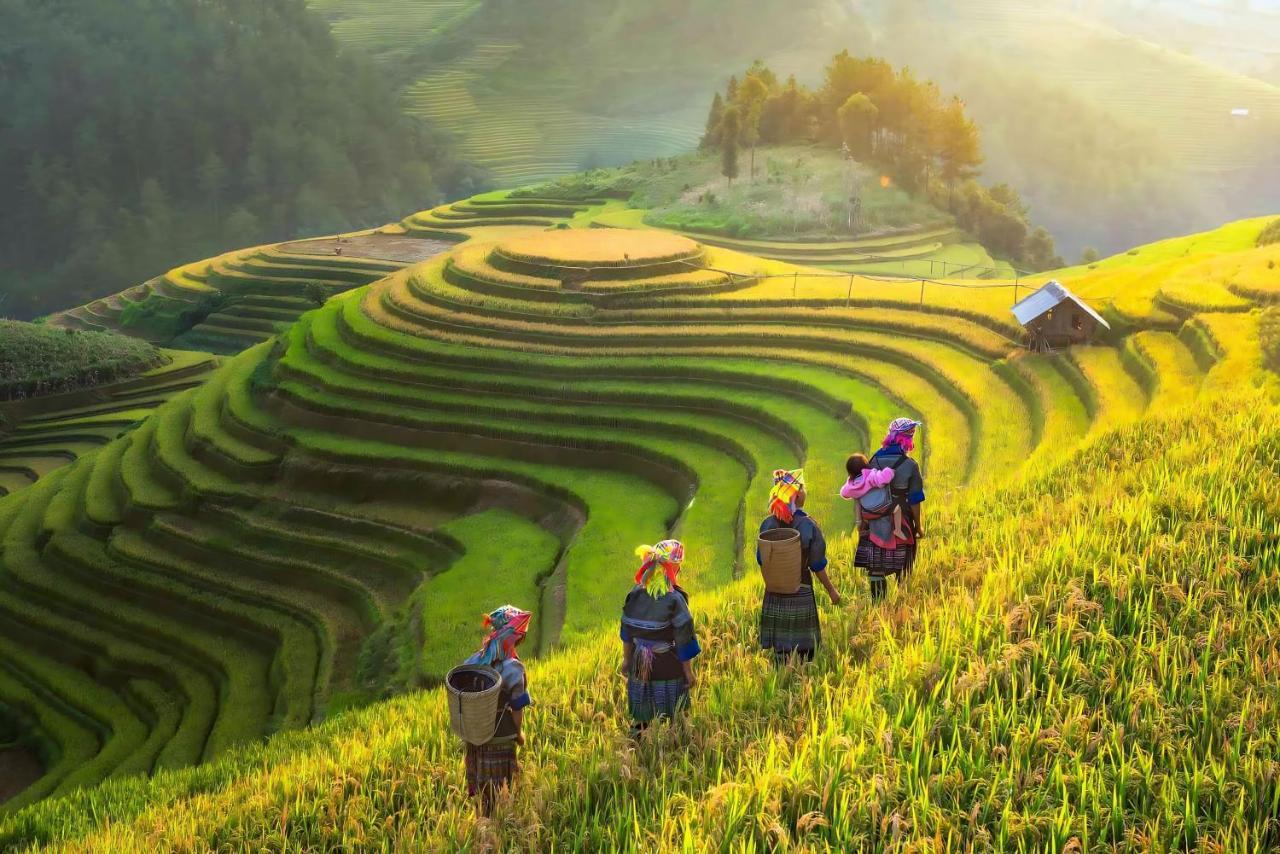 Central Sapa Charm Hotel Екстериор снимка